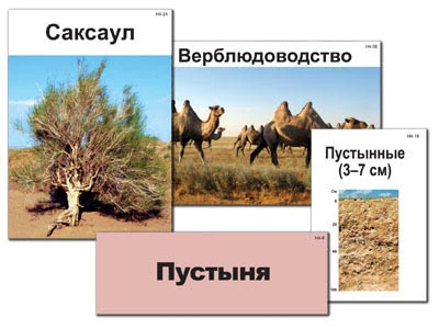Модель-аппликация «Природные зоны России»
