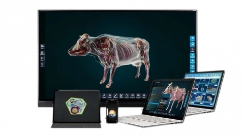 Интерактивное наглядное 3D пособие <Познание: Животноводство и современные корма>
